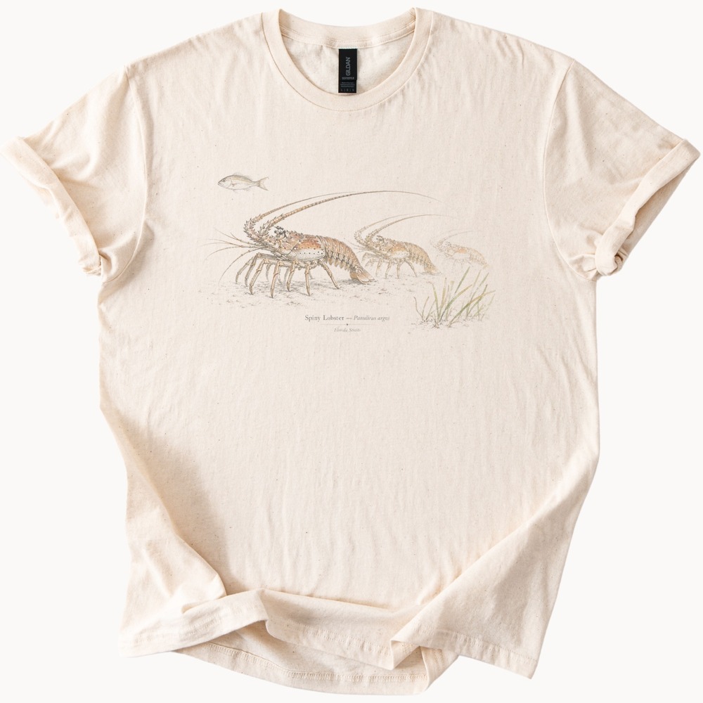 Spiny Lobsters Fine Line Art Shirt